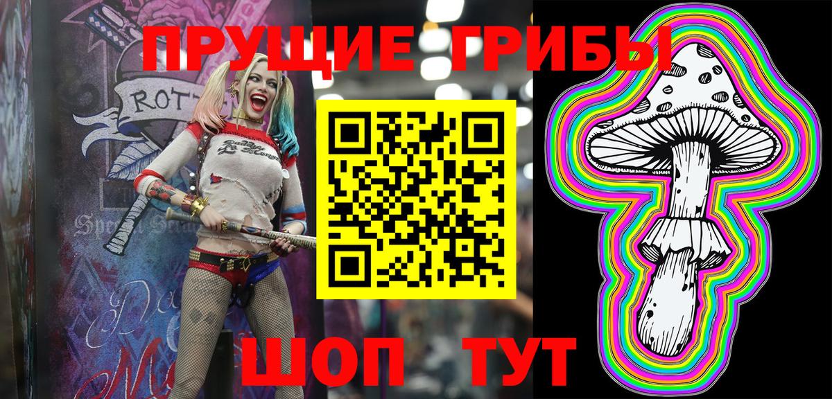 Галлюциногенные грибы Psilocybe  Вход с VPN  где купить наркотик  Луга 